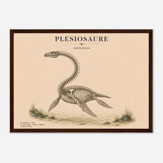 Affiche murale Plésiosaure squelette fossile, illustration Mûrale qualité musée