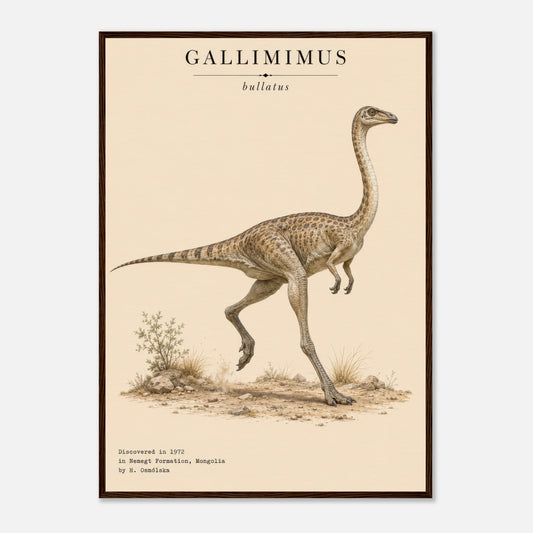 Affiche murale Gallimimus réaliste en chair, illustration Mûrale qualité musée