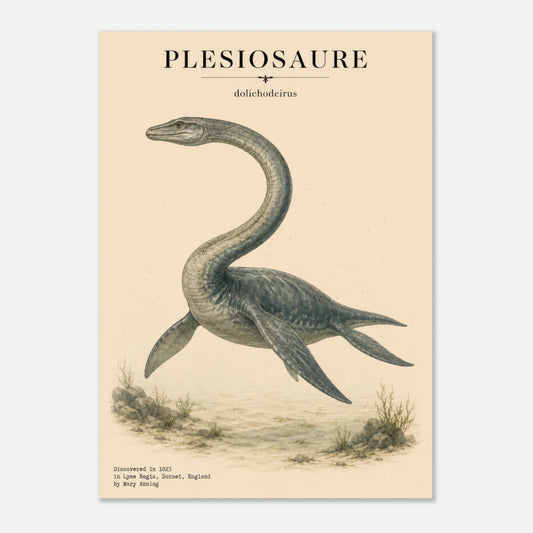 Affiche murale Plésiosaure réaliste en chair, illustration Mûrale qualité musée