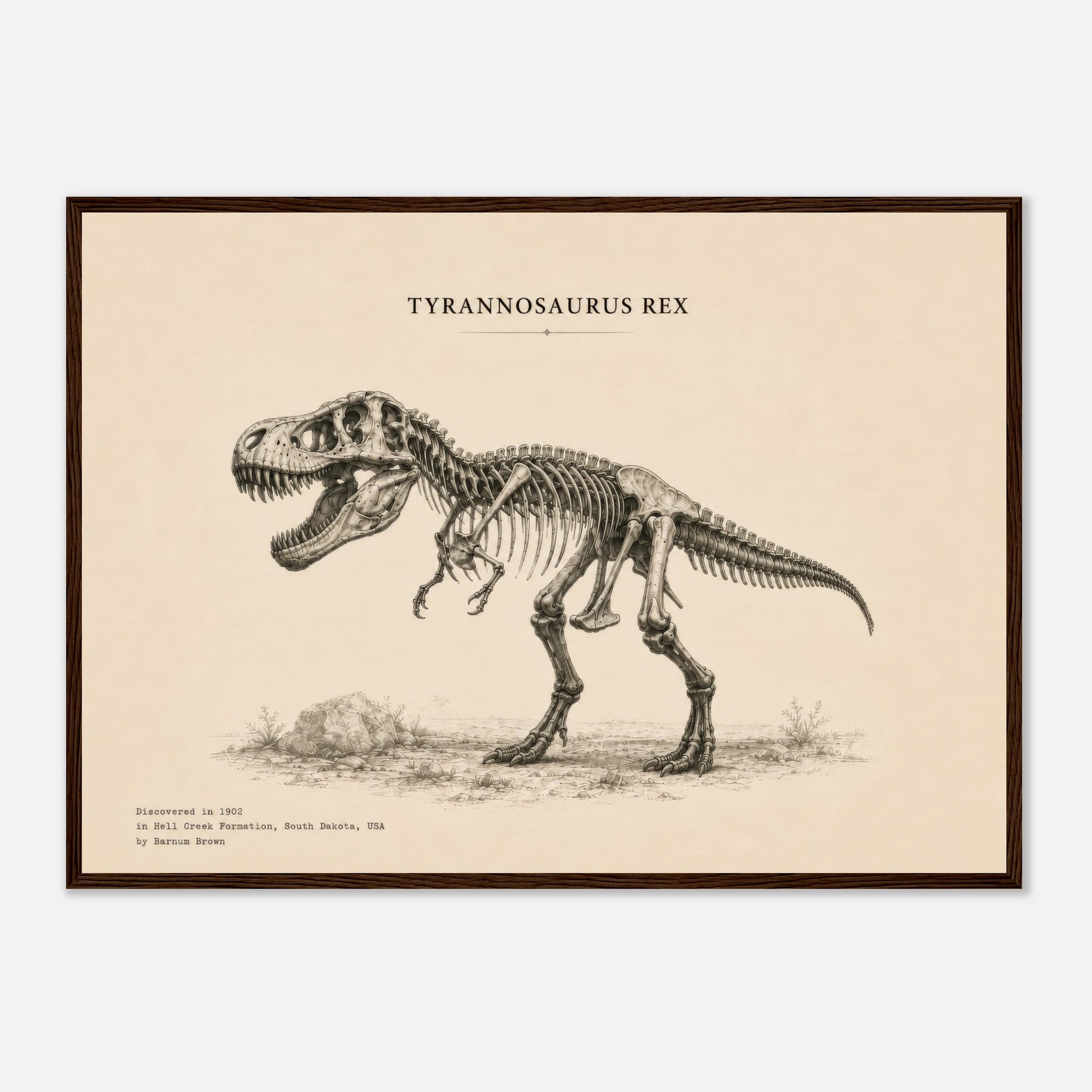 Affiche murale T-Rex squelette fossile, illustration Mûrale qualité musée