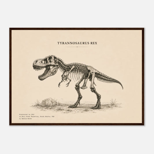 Affiche murale T-Rex squelette fossile, illustration Mûrale qualité musée
