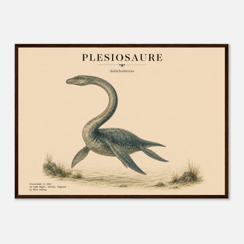 Affiche Murale Plésiosaure Réaliste – Encadrée Bois