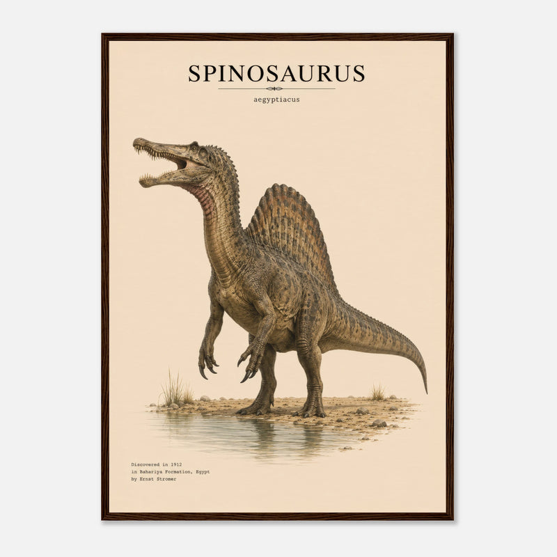 Affiche Murale Spinosaure Réaliste – Encadrée Bois