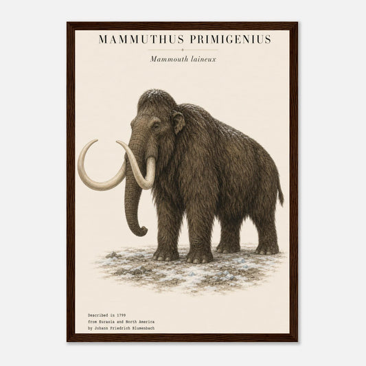 Affiche du mammouth laineux réaliste en portrait, encadrée en bois
