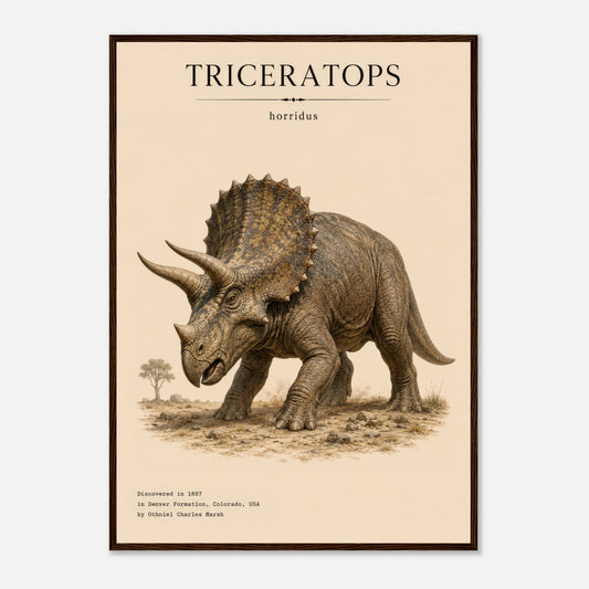 Affiche murale Tricératops réaliste en chair, illustration Mûrale qualité musée