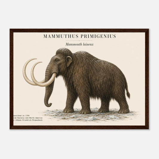 Affiche du mammouth laineux réaliste en paysage, encadrée en bois