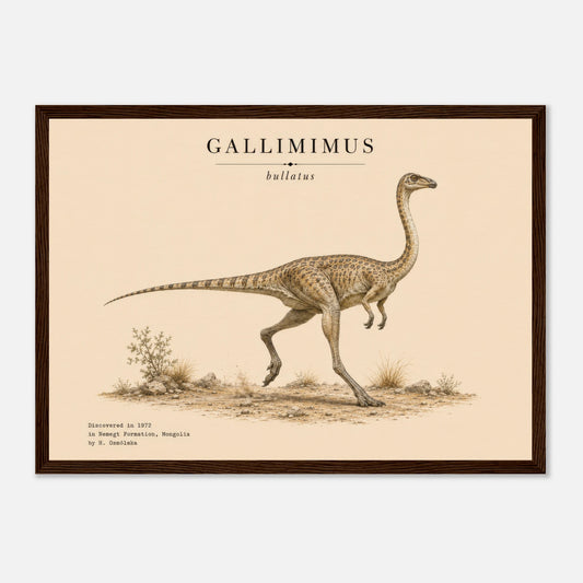 Affiche murale Gallimimus réaliste en chair, illustration Mûrale qualité musée