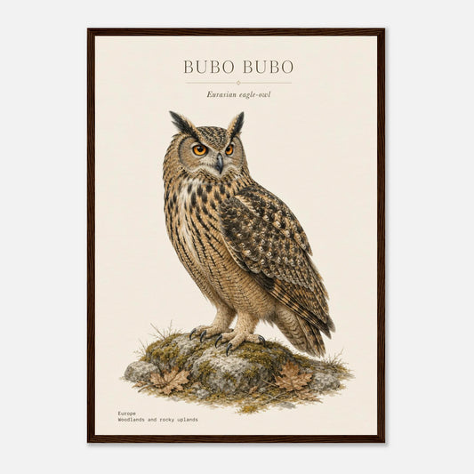Affiche Grand-duc d'Europe naturaliste portrait encadrée en bois foncé — illustration du hibou, mise en situation murale