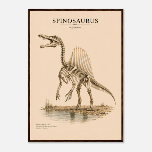 Affiche murale Spinosaure squelette fossile, illustration Mûrale qualité musée