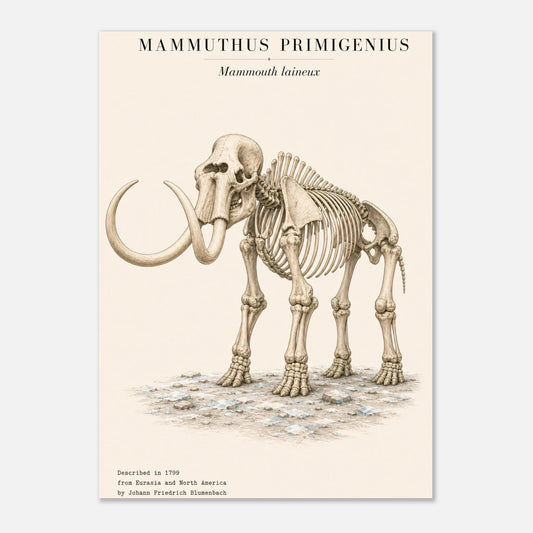 Affiche du squelette fossilisé de mammouth laineux au format portrait