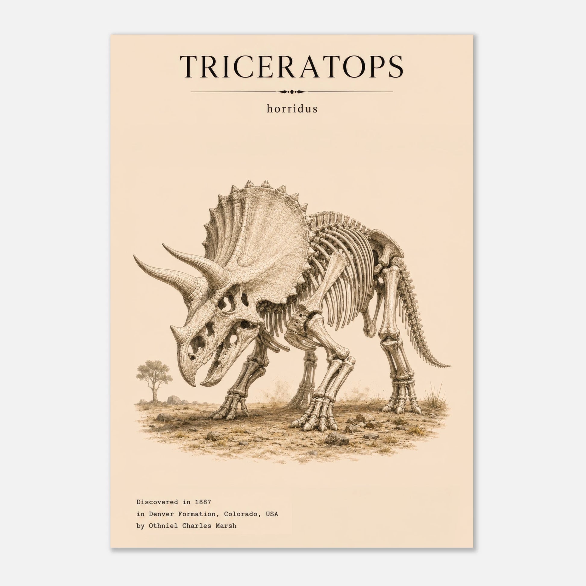 Affiche Tricératops squelette fossilisé portrait – Papier qualité musée — mise en situation