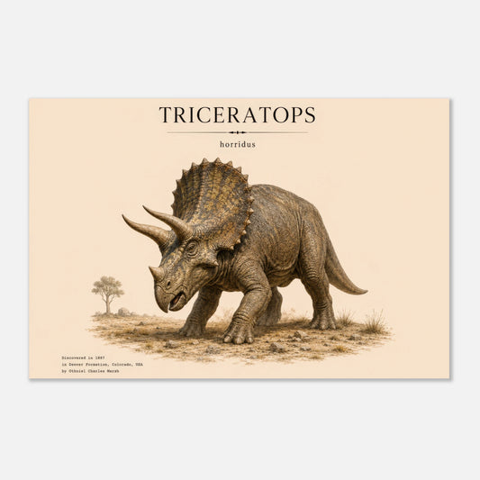 Affiche murale Tricératops réaliste en chair, illustration Mûrale qualité musée