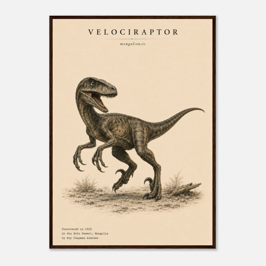 Vélociraptor en chair réaliste dans un cadre bois foncé