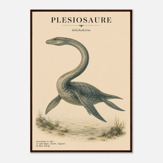 Affiche murale Plésiosaure réaliste en chair, illustration Mûrale qualité musée
