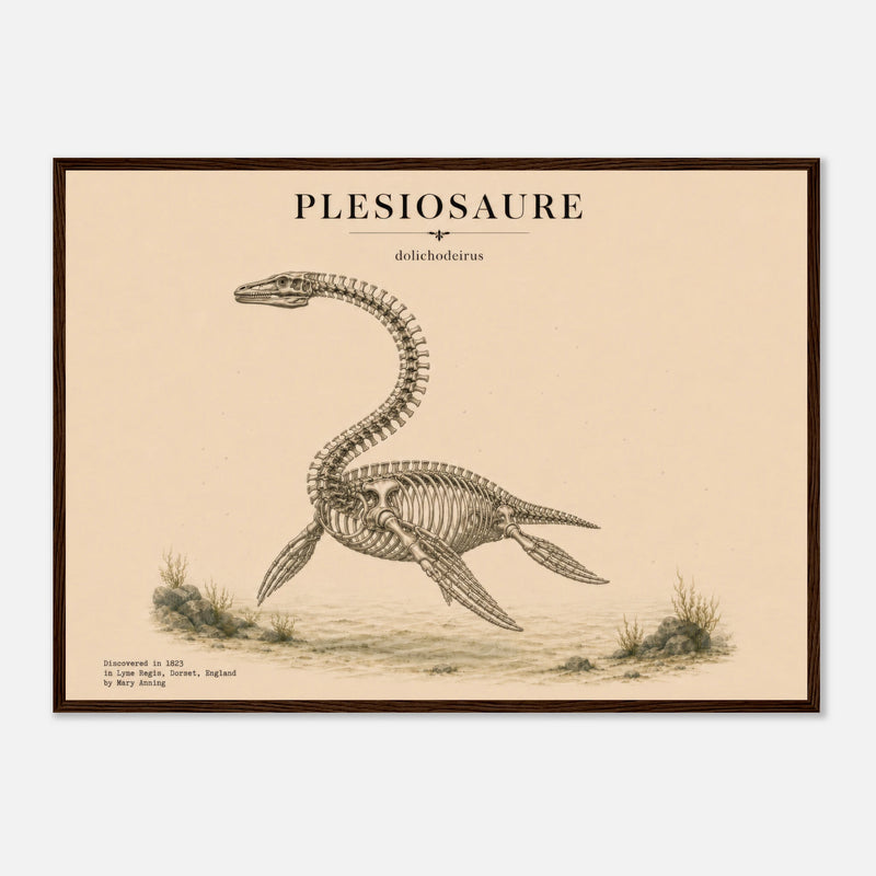 Affiche Murale Plésiosaure en squelette – Encadrée Bois