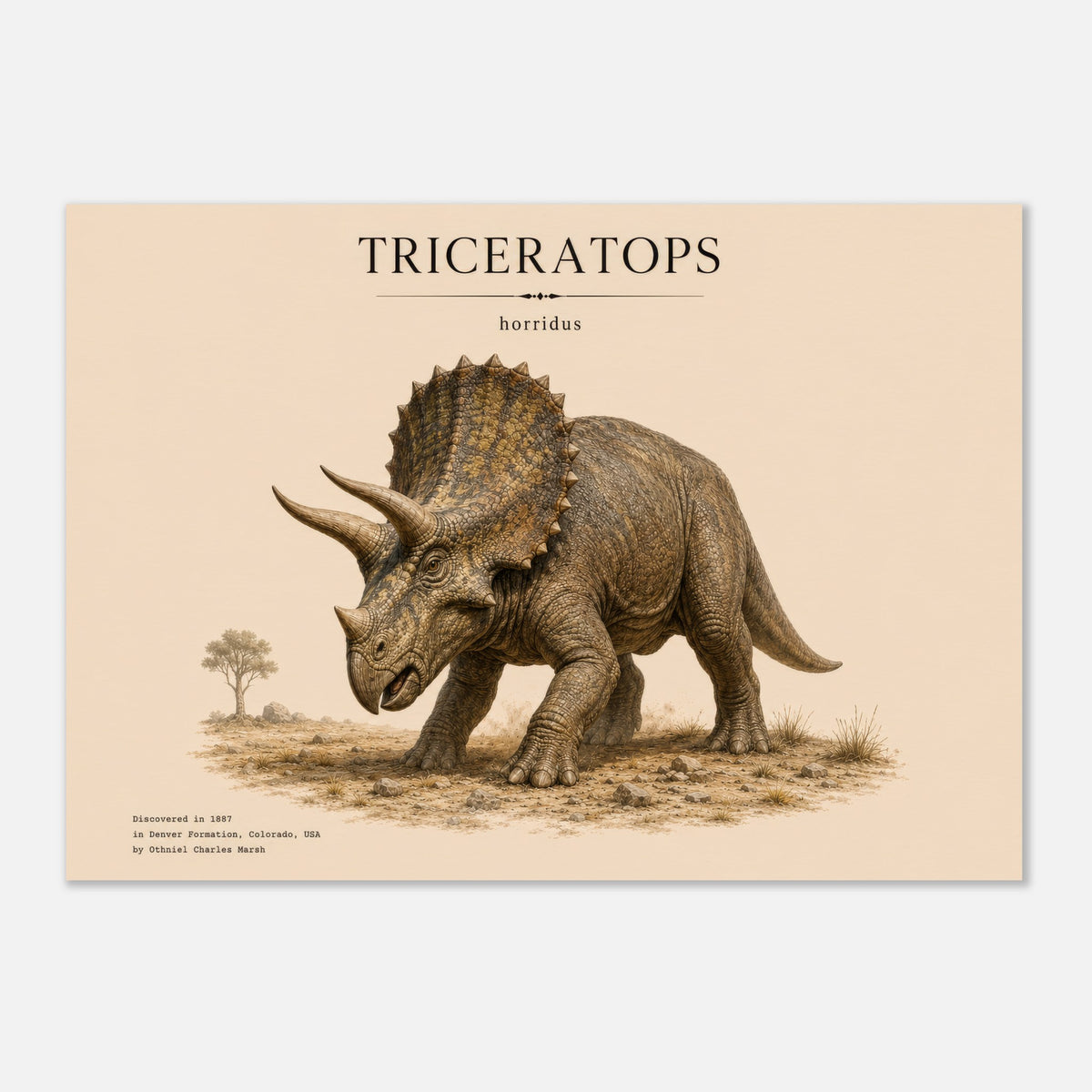 Affiche Tricératops réaliste paysage – Papier qualité musée — visuel principal