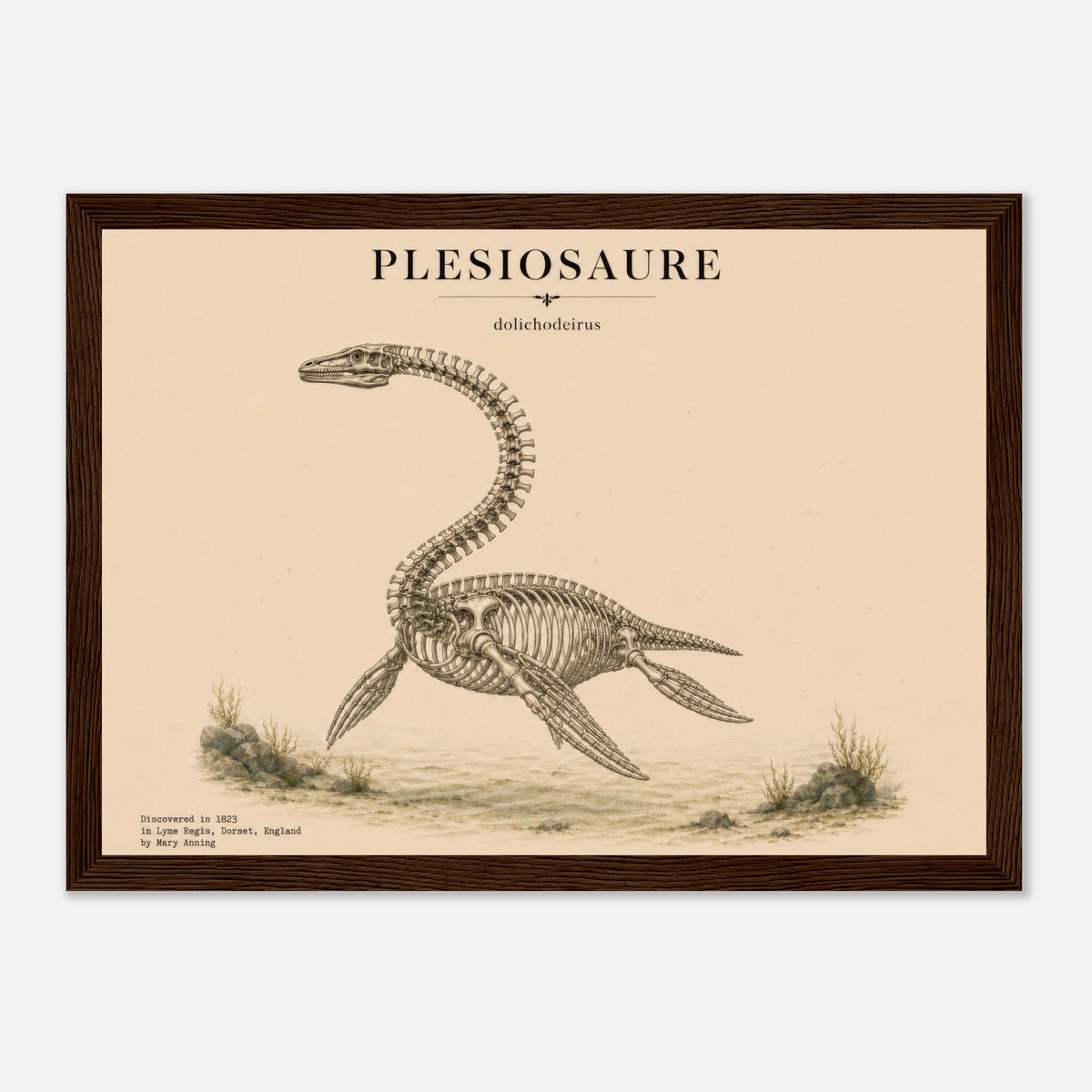 Affiche Plésiosaure squelette fossilisé paysage – Cadre en bois naturel — visuel principal