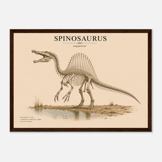 Affiche murale Spinosaure squelette fossile, illustration Mûrale qualité musée