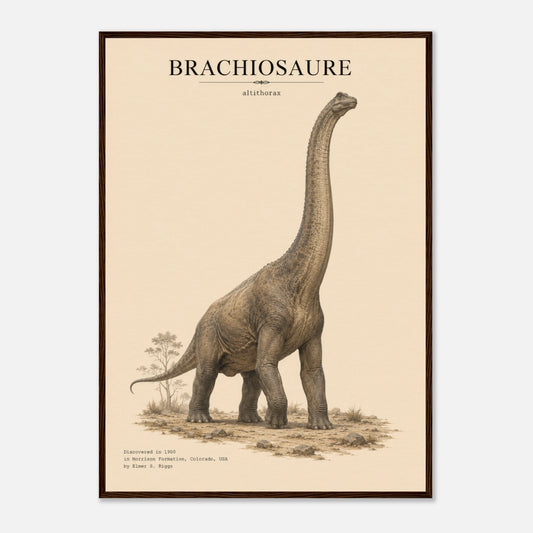 Affiche murale Brachiosaure réaliste en chair, illustration Mûrale qualité musée