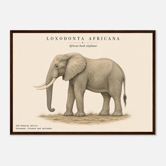 Affiche Éléphant d'Afrique naturaliste paysage encadrée en bois naturel — illustration de l'éléphant, mise en situation murale