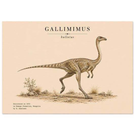 Affiche murale Gallimimus réaliste en chair, illustration Mûrale qualité musée