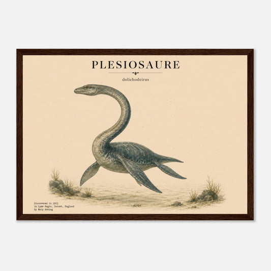Affiche murale Plésiosaure réaliste en chair, illustration Mûrale qualité musée
