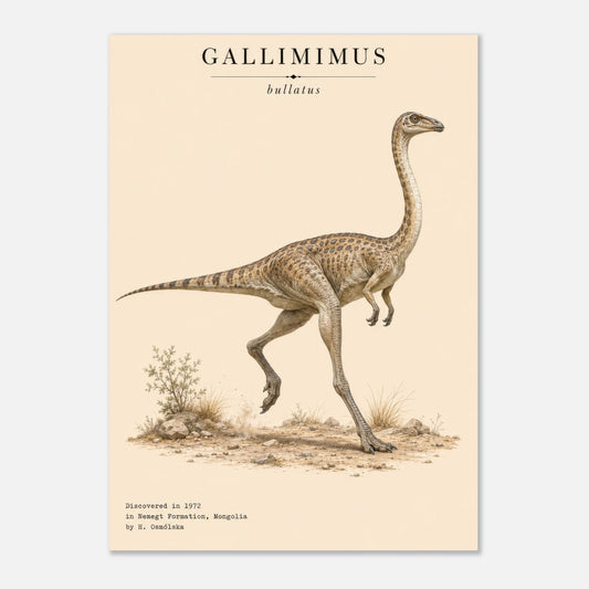 Affiche murale Gallimimus réaliste en chair, illustration Mûrale qualité musée