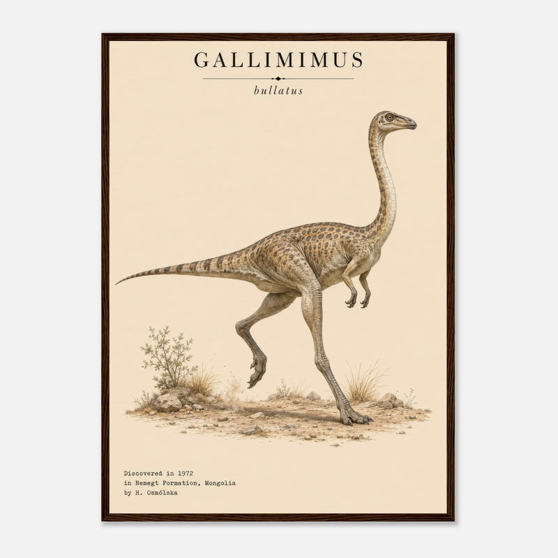 Affiche Murale Gallimimus Réaliste – Encadrée Bois
