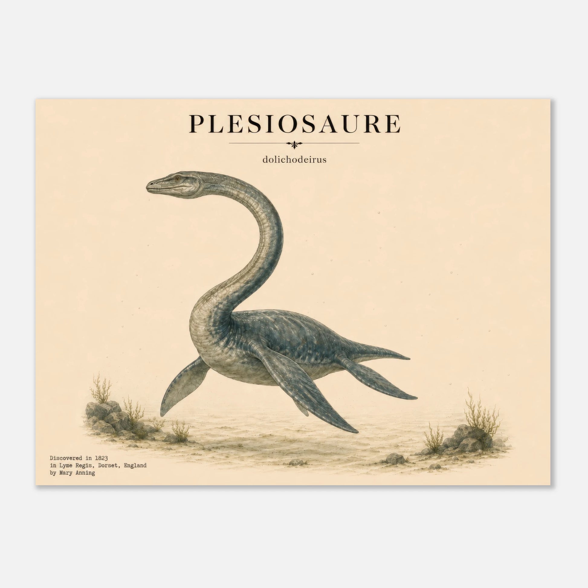 Affiche murale Plésiosaure réaliste en chair, illustration Mûrale qualité musée