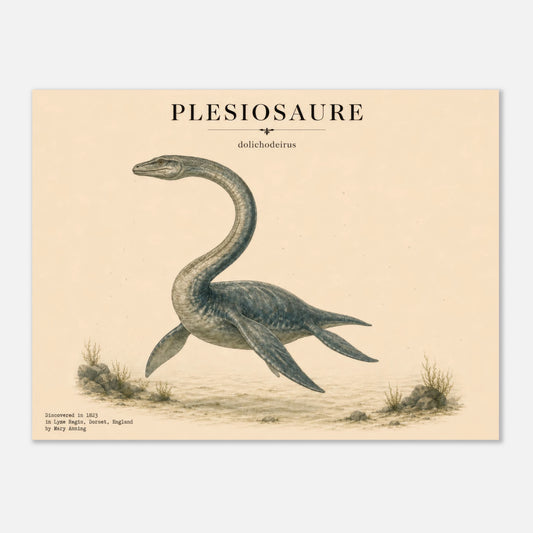 Affiche murale Plésiosaure réaliste en chair, illustration Mûrale qualité musée