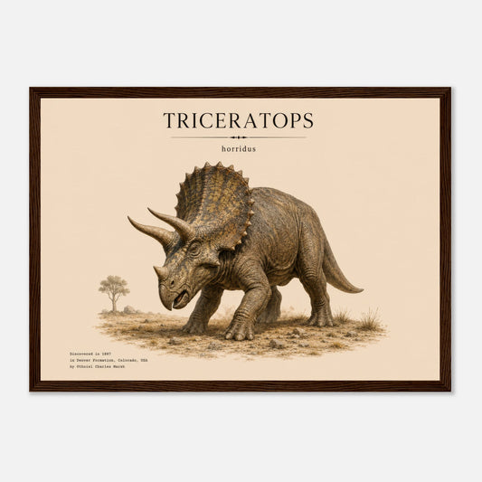 Affiche murale Tricératops réaliste en chair, illustration Mûrale qualité musée