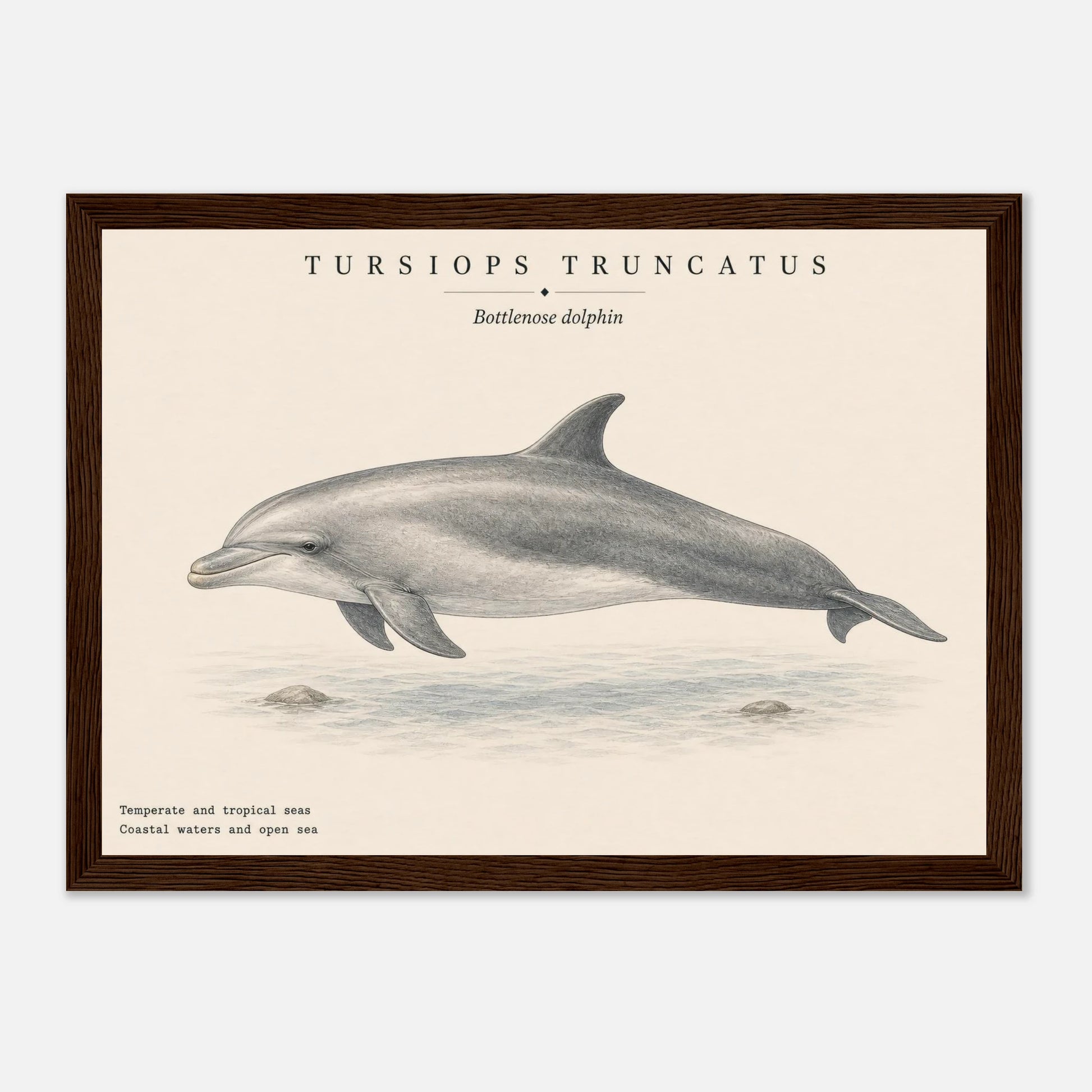 f5d0ed7f-68ef-4516-aea4-01907ddcef65