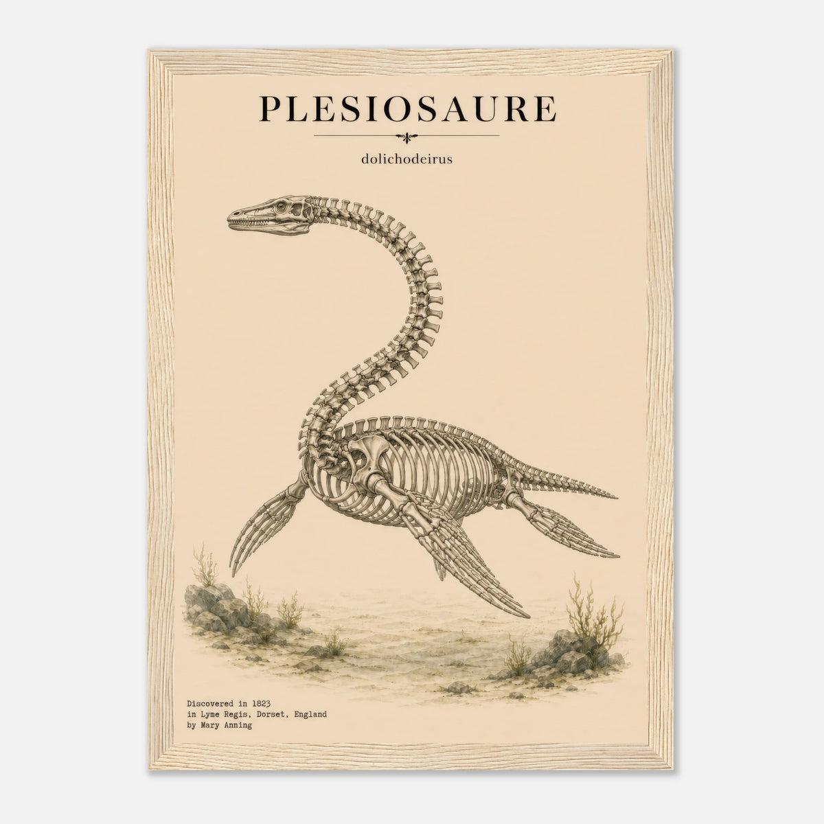 Affiche Plésiosaure squelette fossilisé portrait – Cadre en bois naturel — visuel de présentation