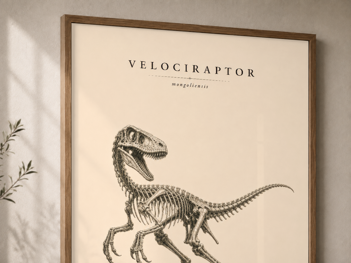 Illustration de Velociraptor mongoliensis fossilise, Mûrale